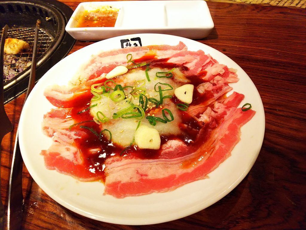 f:id:inaka:20190519183827j:image:w360