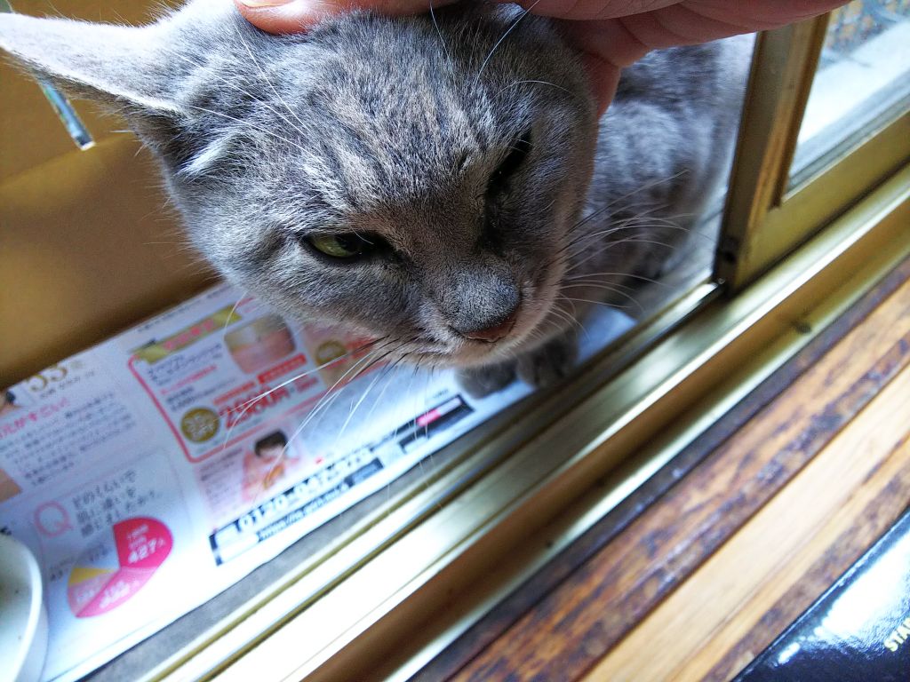 f:id:inaka:20191214215754j:image:w360