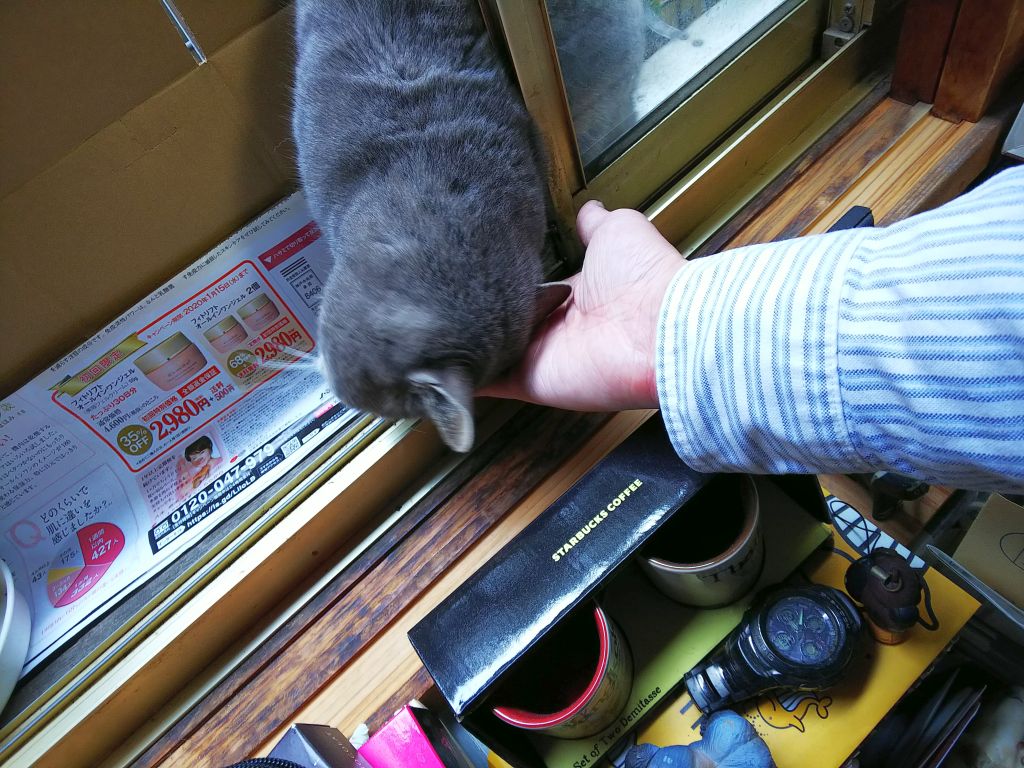 f:id:inaka:20191214215757j:image:w360