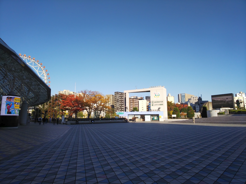 f:id:inaka:20201115202524j:image:w360
