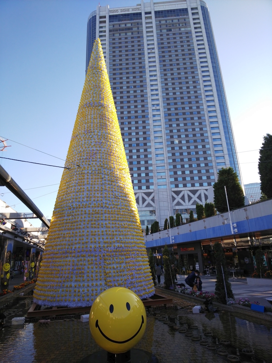 f:id:inaka:20201115202915j:image:w300