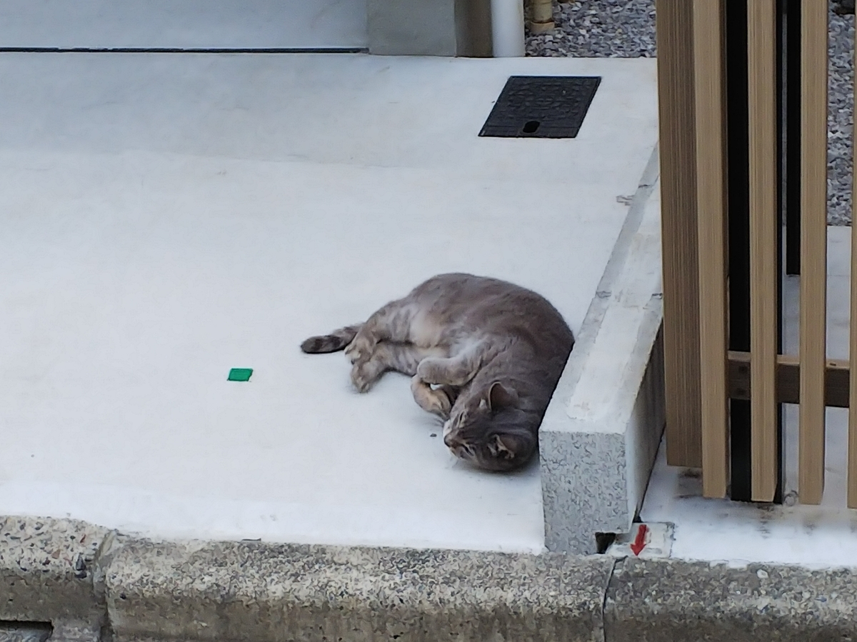 f:id:inaka:20201214202448j:image:w360