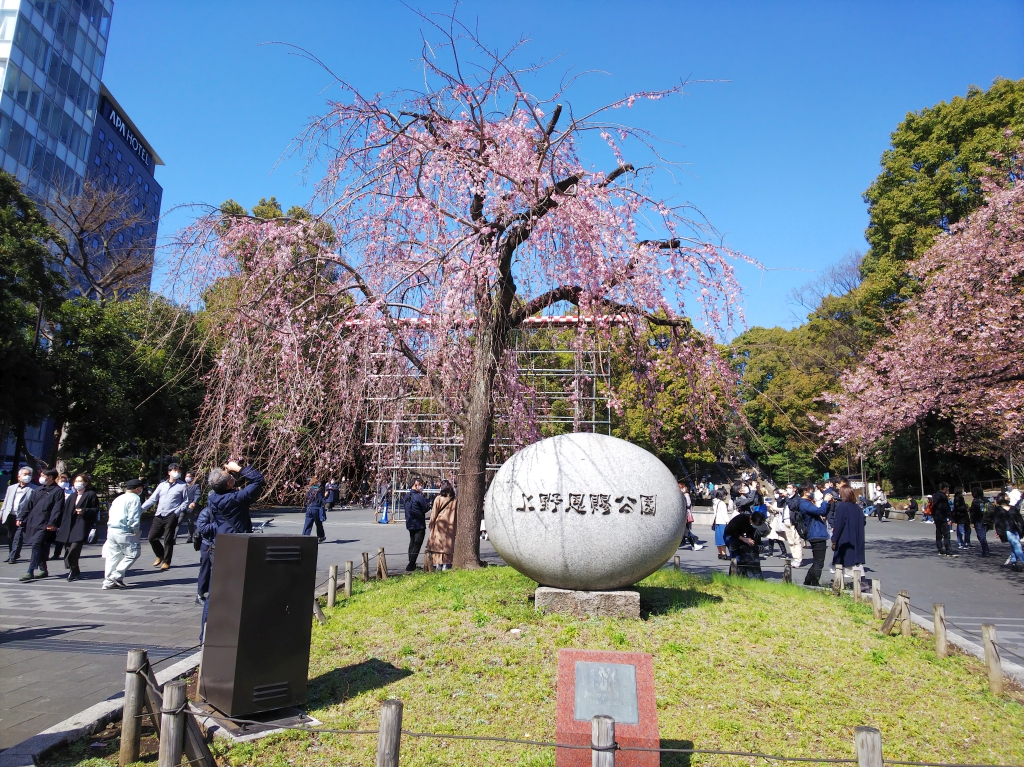 f:id:inaka:20210314210355j:image:w360