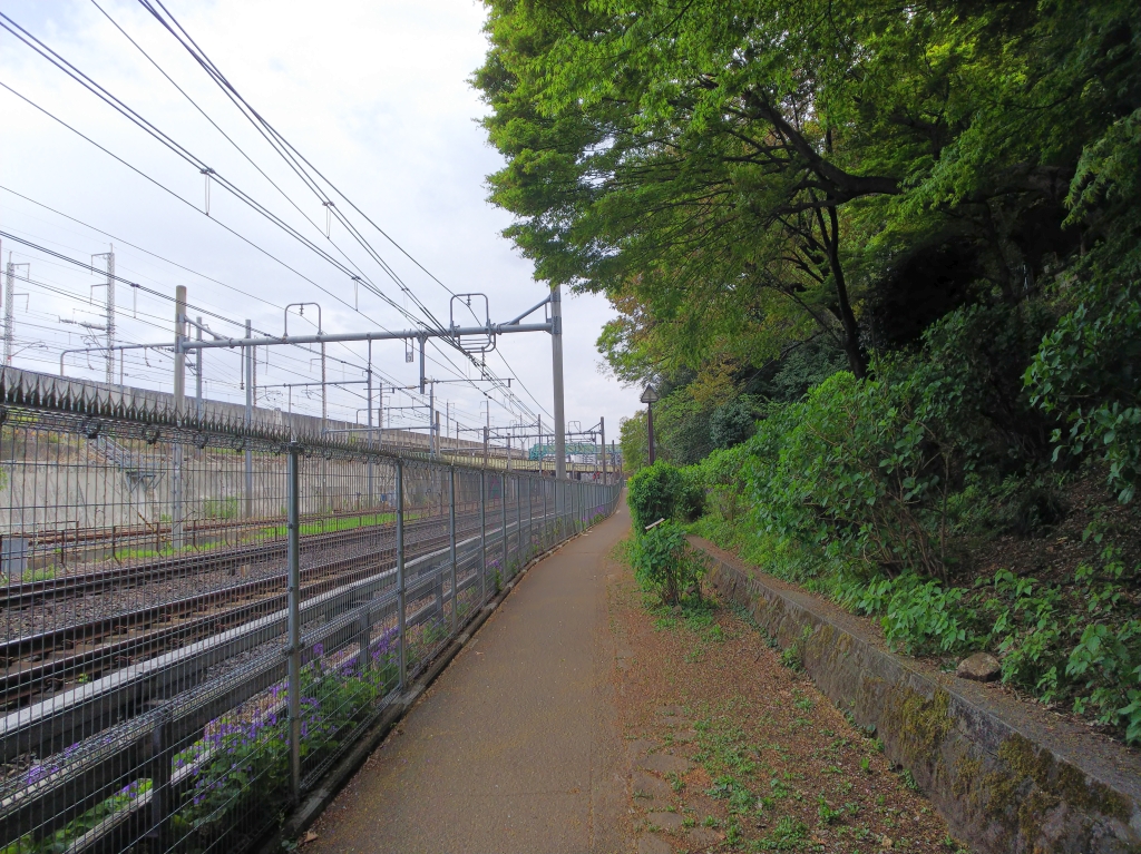 f:id:inaka:20210404200704j:image:w360