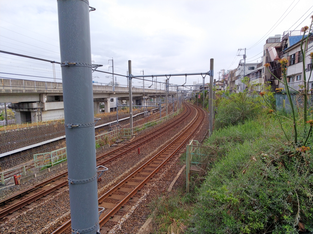 f:id:inaka:20210404201130j:image:w360