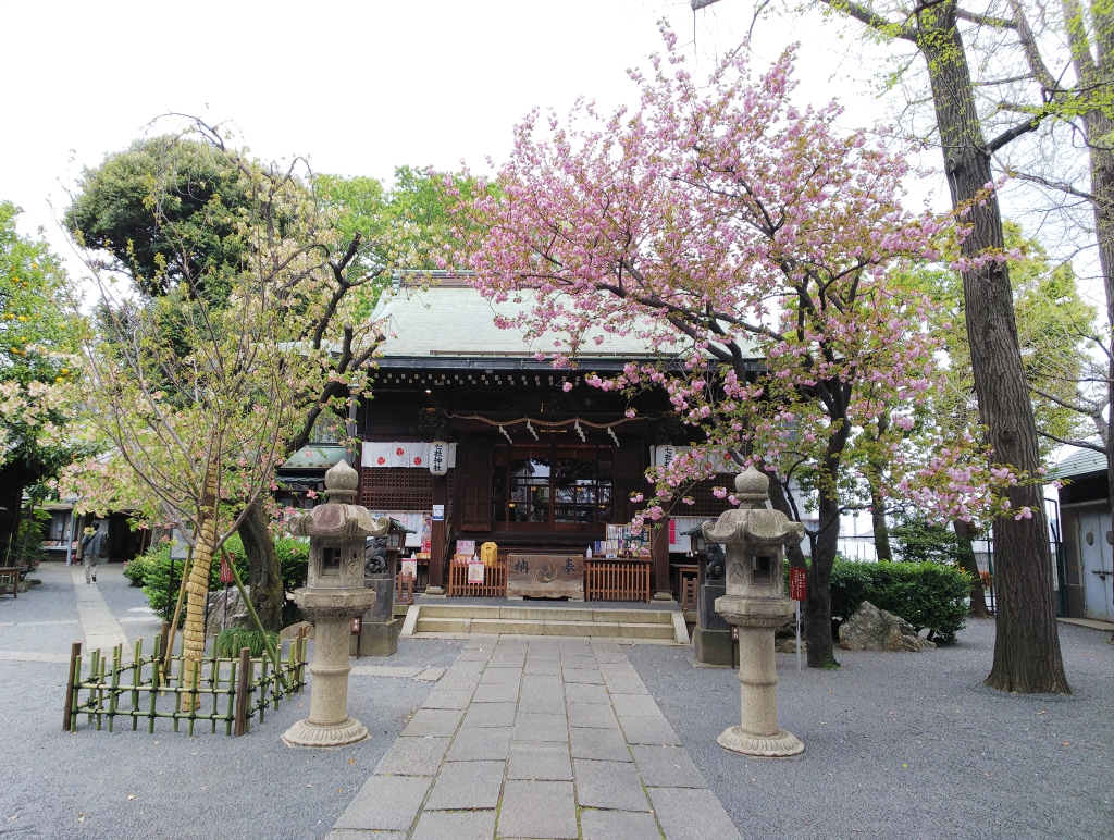 f:id:inaka:20210404201229j:image:w360