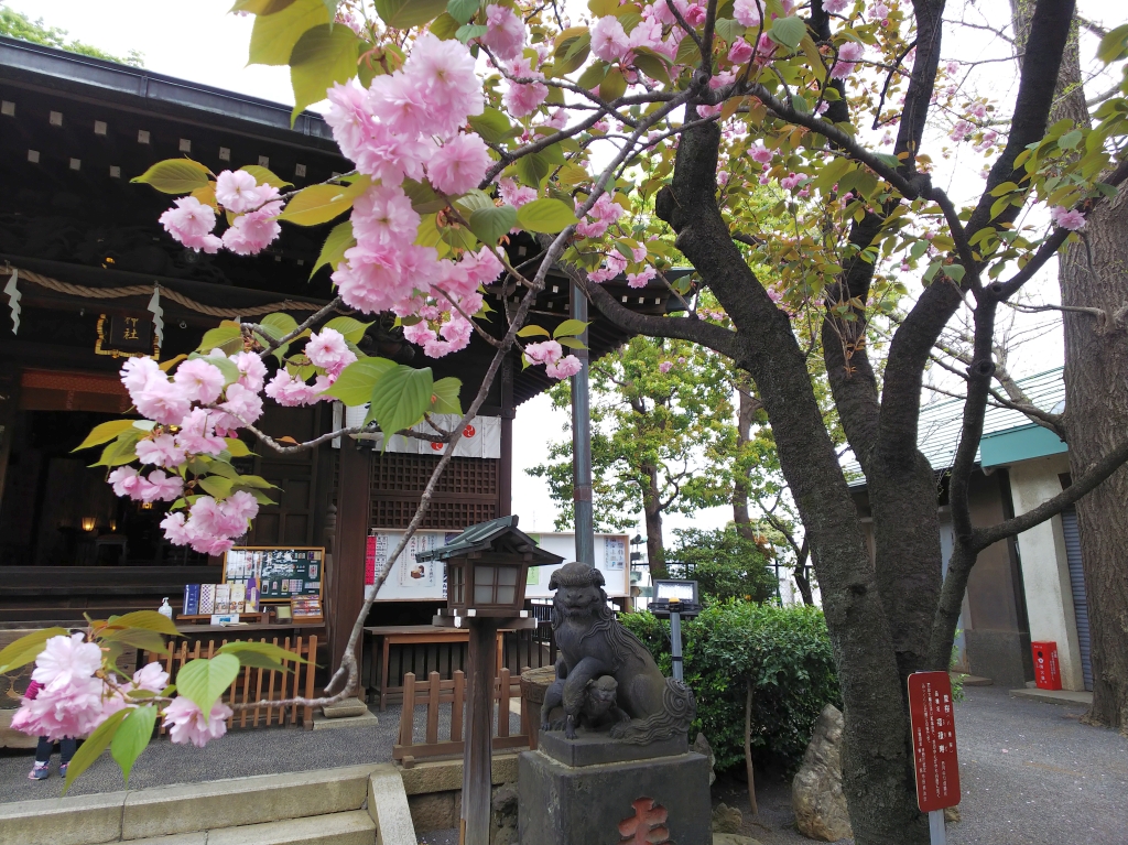 f:id:inaka:20210404201237j:image:w360