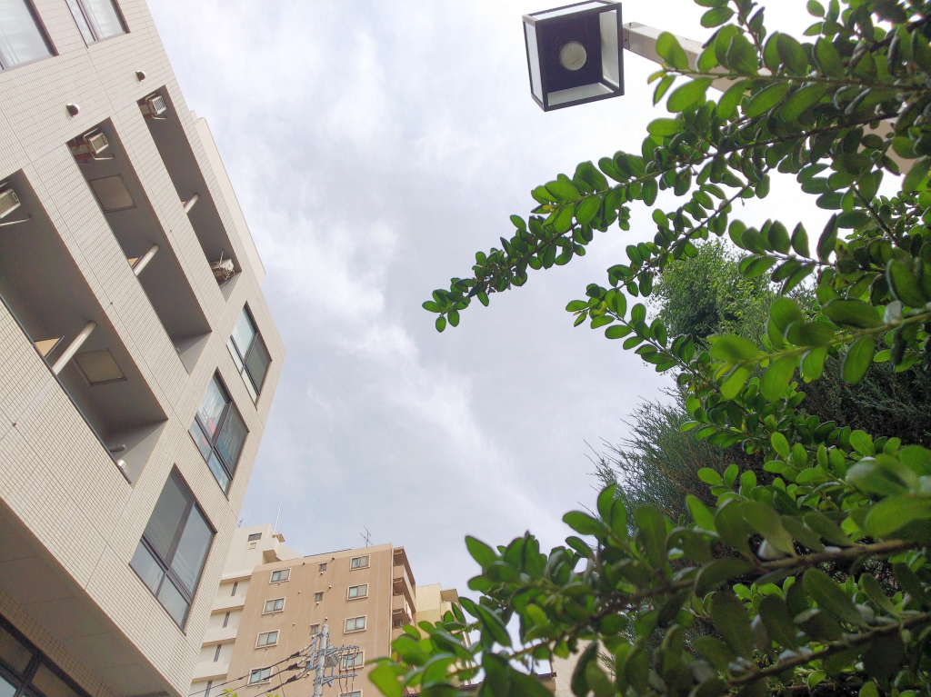 f:id:inaka:20210529200952j:image:w360