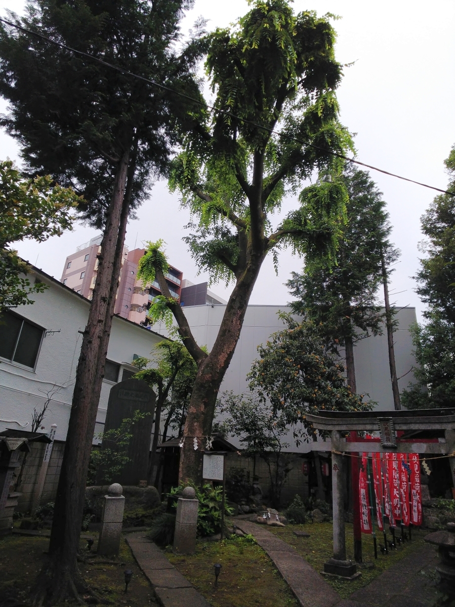 f:id:inaka:20210529201504j:image:w300