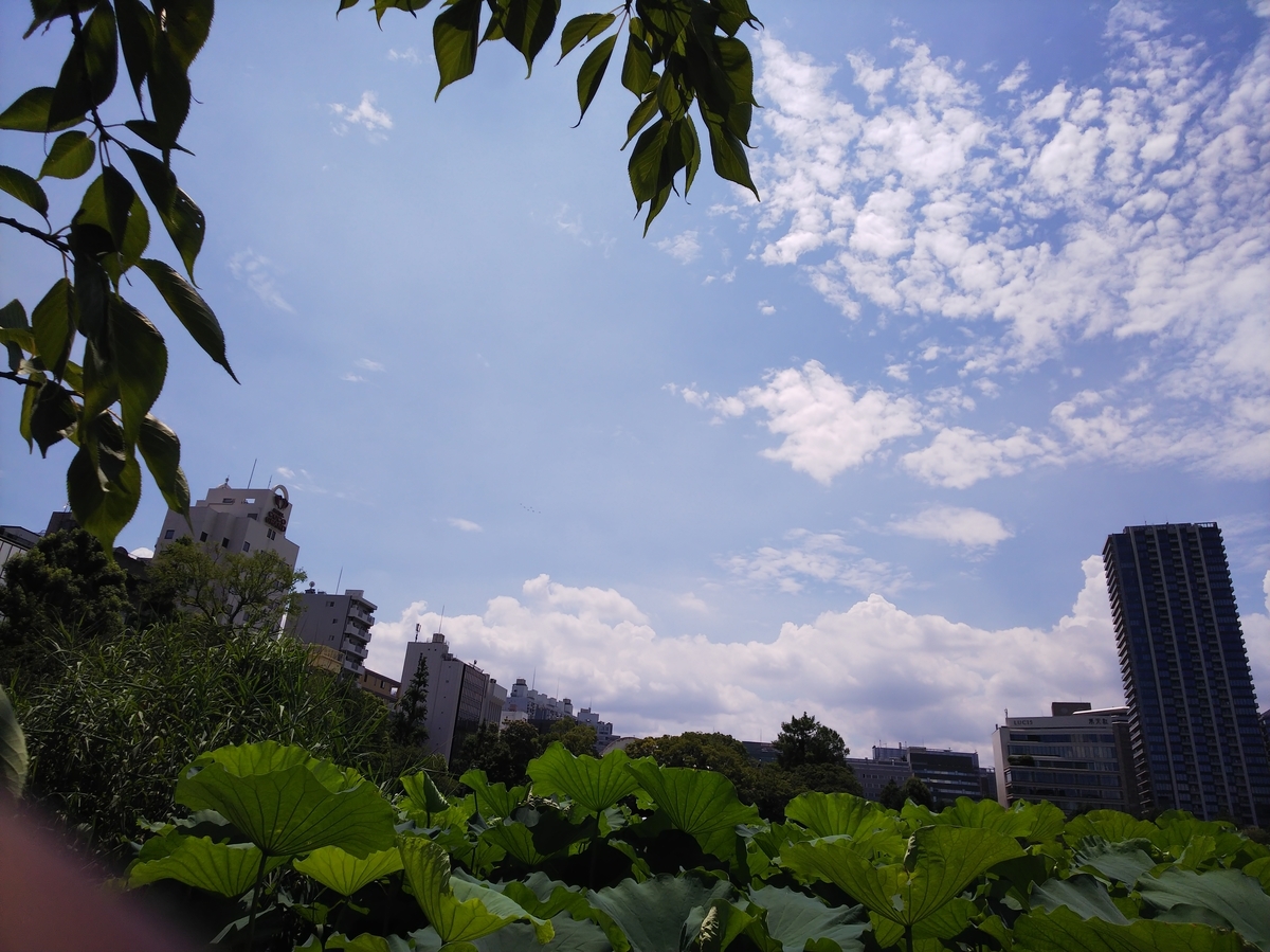f:id:inaka:20210724212537j:image:w360