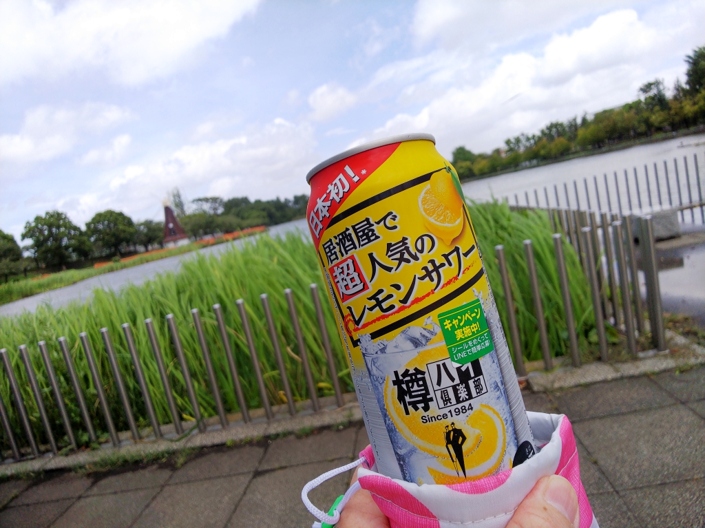 f:id:inaka:20210809214155j:image:w360