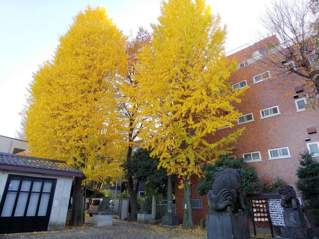 f:id:inaka:20211212200820j:image:w360