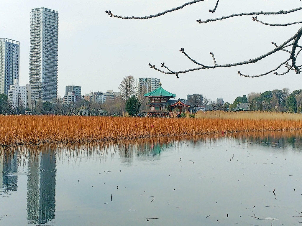 f:id:inaka:20220313195434j:image:w360