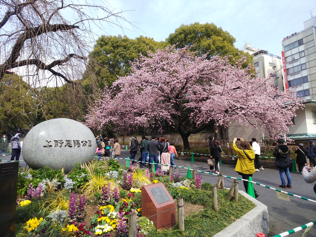 f:id:inaka:20220313195446j:image:w360