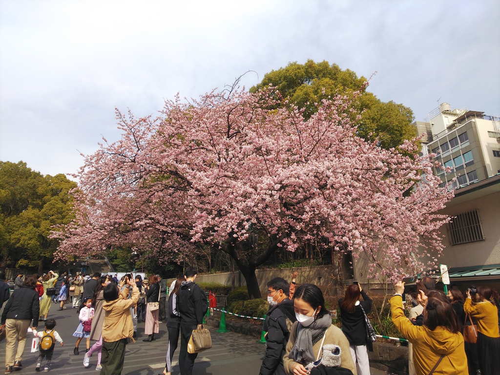 f:id:inaka:20220313195454j:image:w360