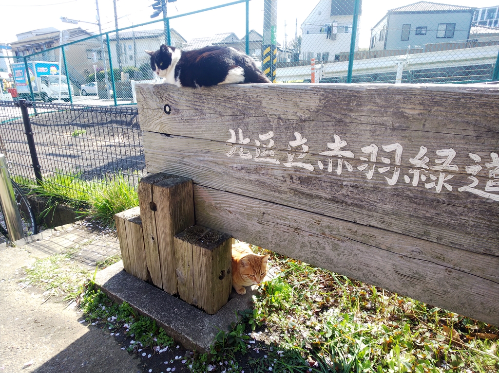 f:id:inaka:20220403204859j:image:w360