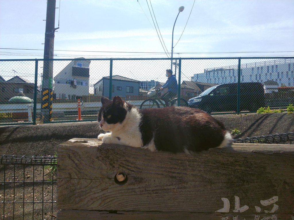 f:id:inaka:20220403204906j:image:w360