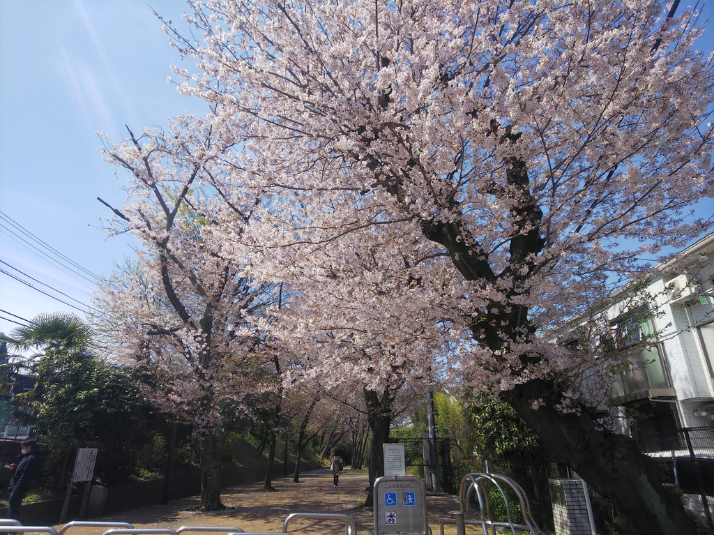 f:id:inaka:20220403205042j:image:w360
