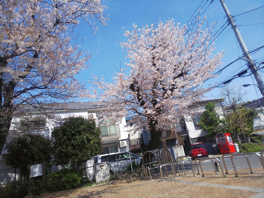 f:id:inaka:20220403205053j:image:w360