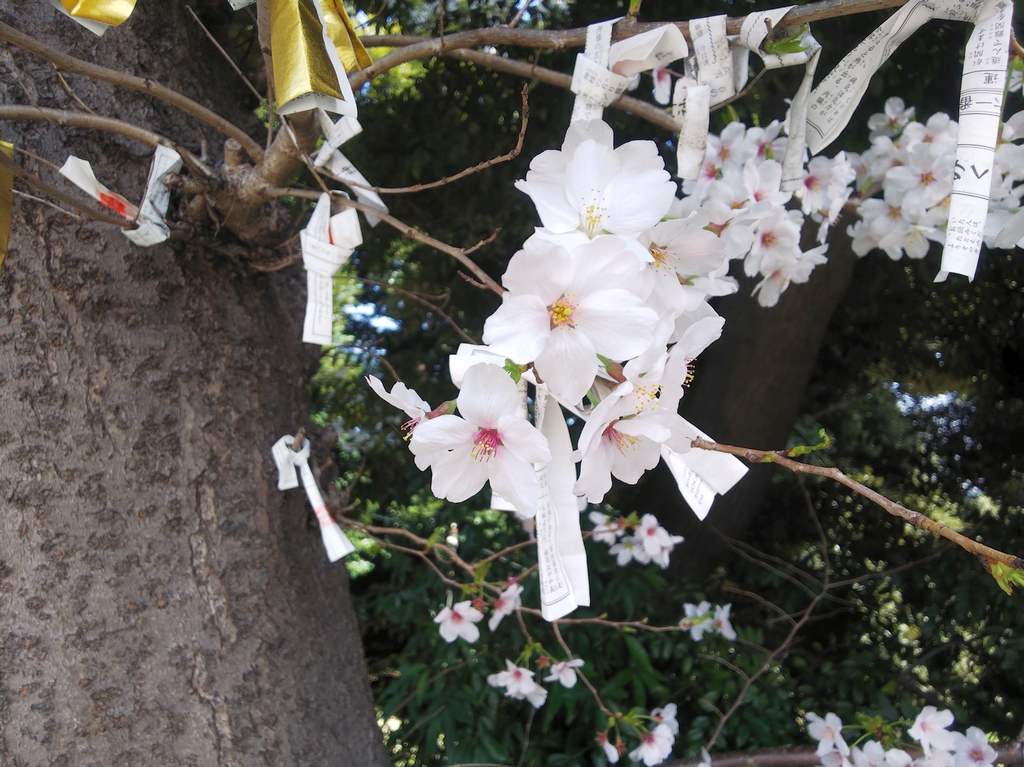 f:id:inaka:20220403205849j:image:w360