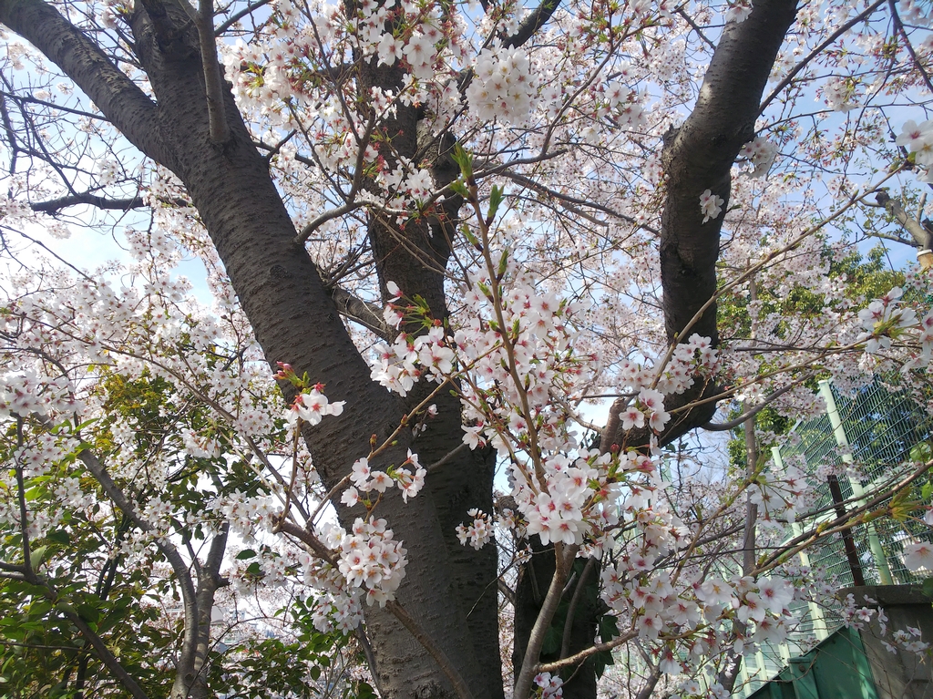 f:id:inaka:20220403205856j:image:w360