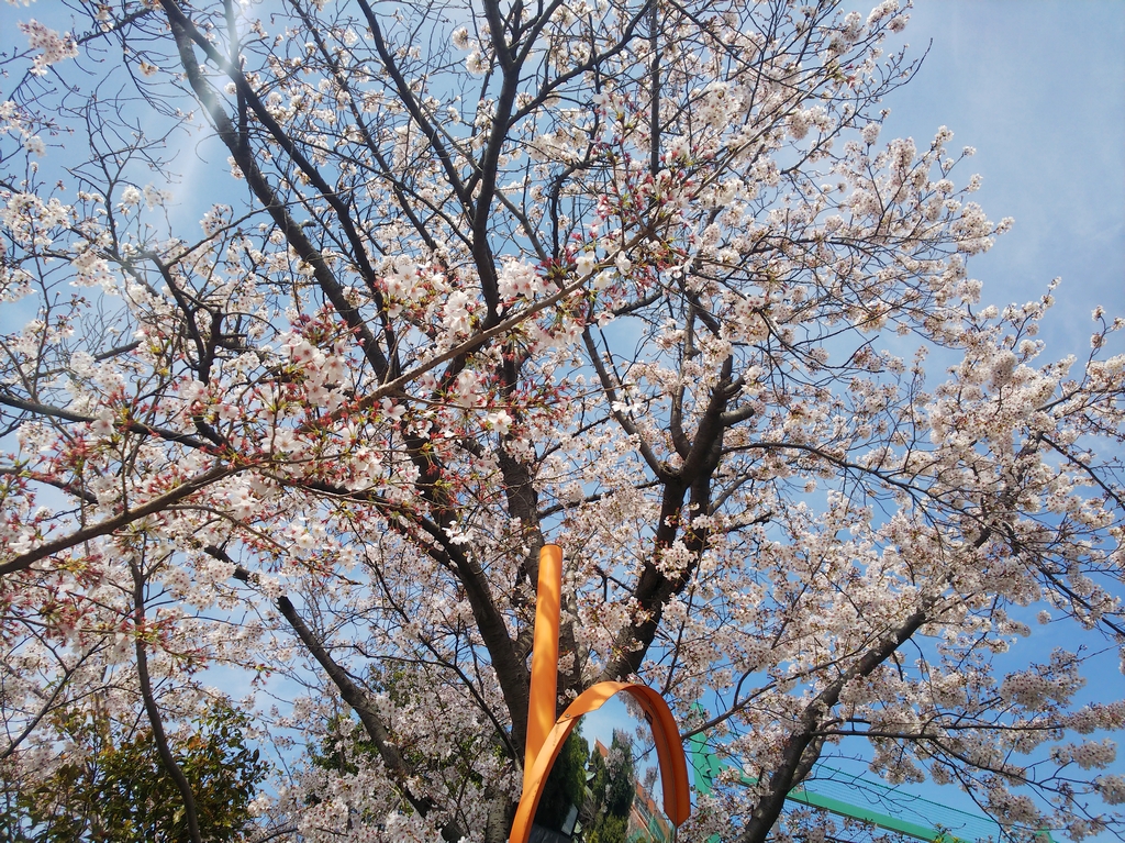 f:id:inaka:20220403205859j:image:w360