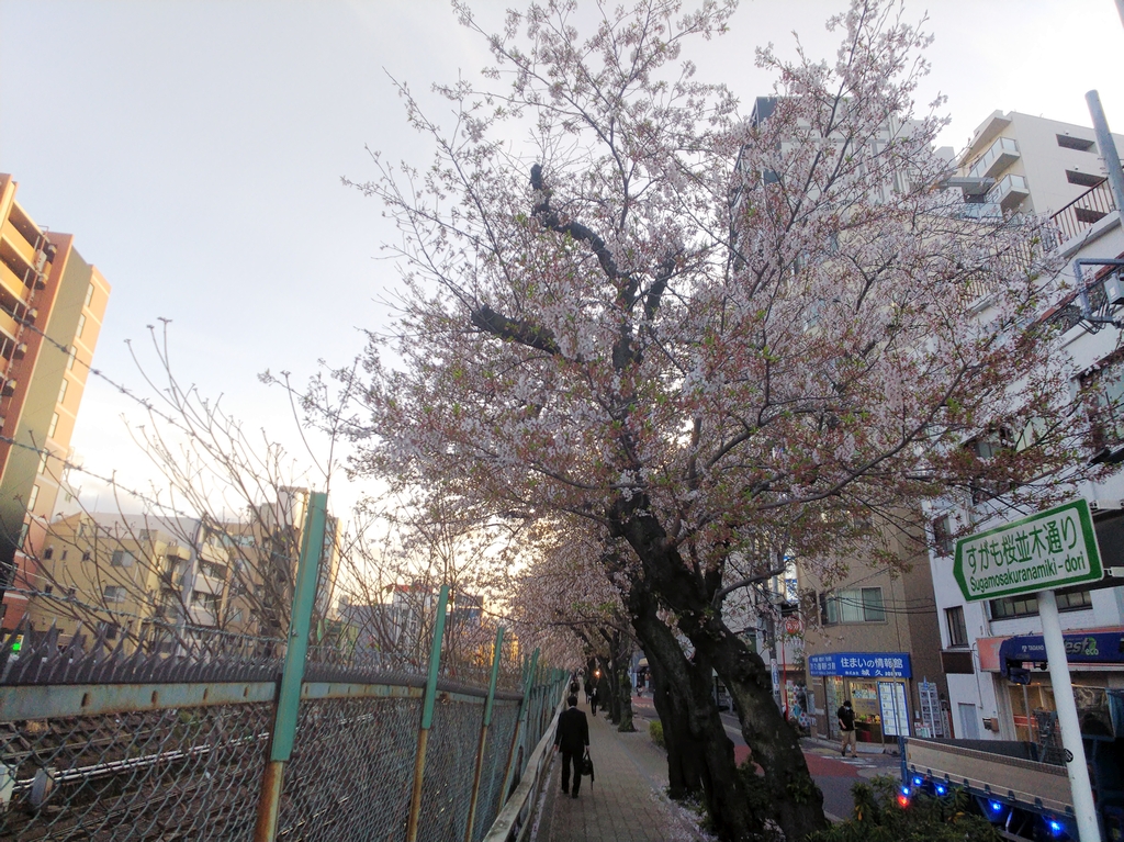 f:id:inaka:20220406223823j:image:w360
