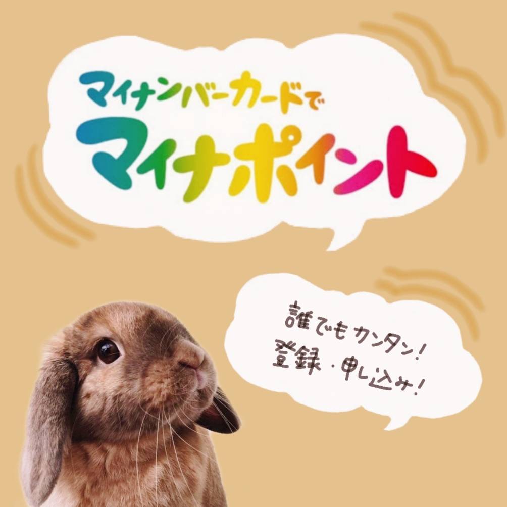 f:id:inakaauto:20210120093039j:plain
