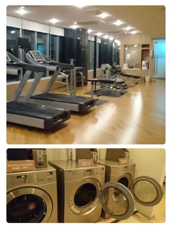 f:id:inakade:20190215220958j:plain