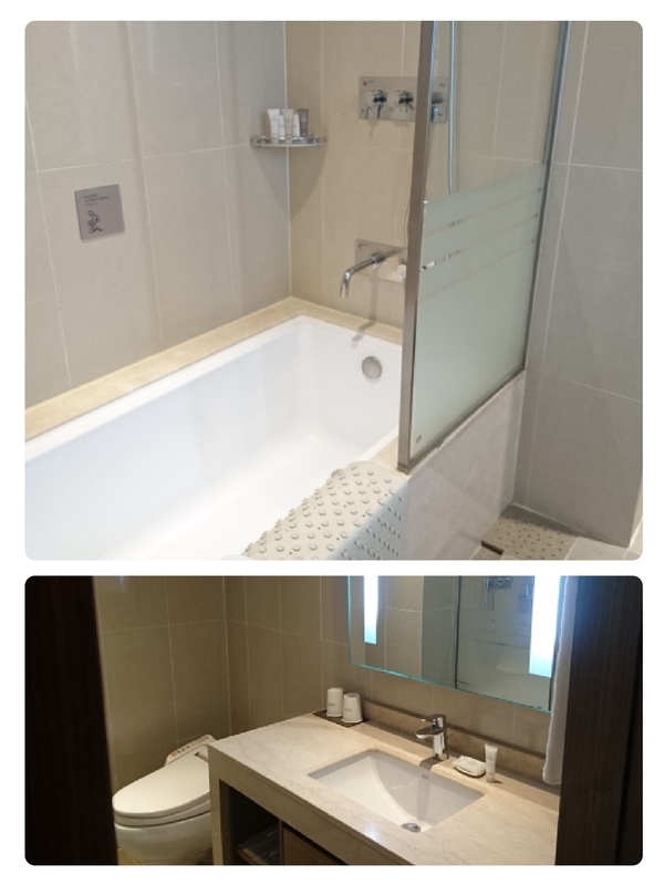 f:id:inakade:20190215221018j:plain