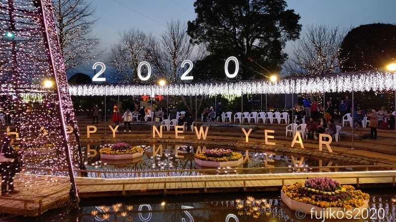 キャンピングカーfocs Ds Lで行く足利フラワーパークのイルミネーションと道の駅どまんなかたぬまで車中泊 Sloth Diary