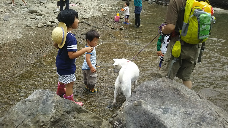 f:id:inakadss:20160622094748j:plain