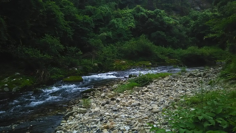 f:id:inakadss:20160622095047j:plain