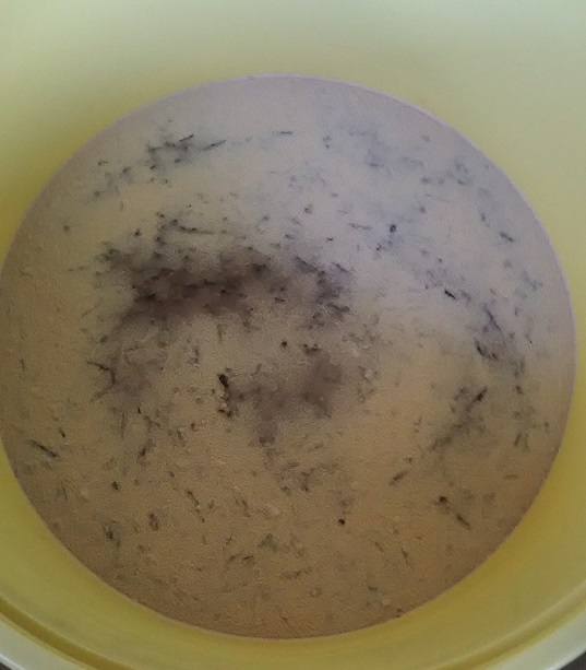 f:id:inakadss:20160704135001j:plain