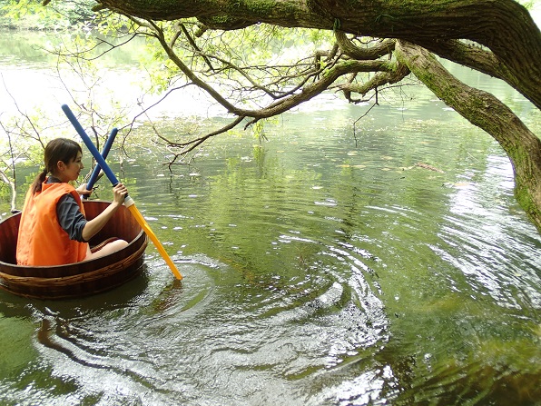 f:id:inakadss:20160718030124j:plain