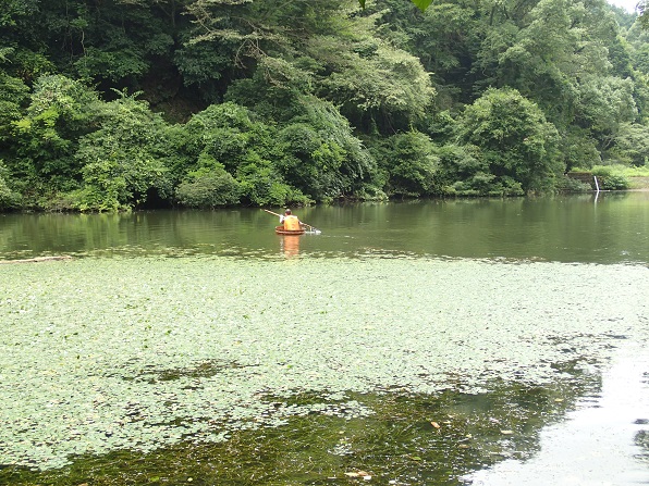 f:id:inakadss:20160718030230j:plain