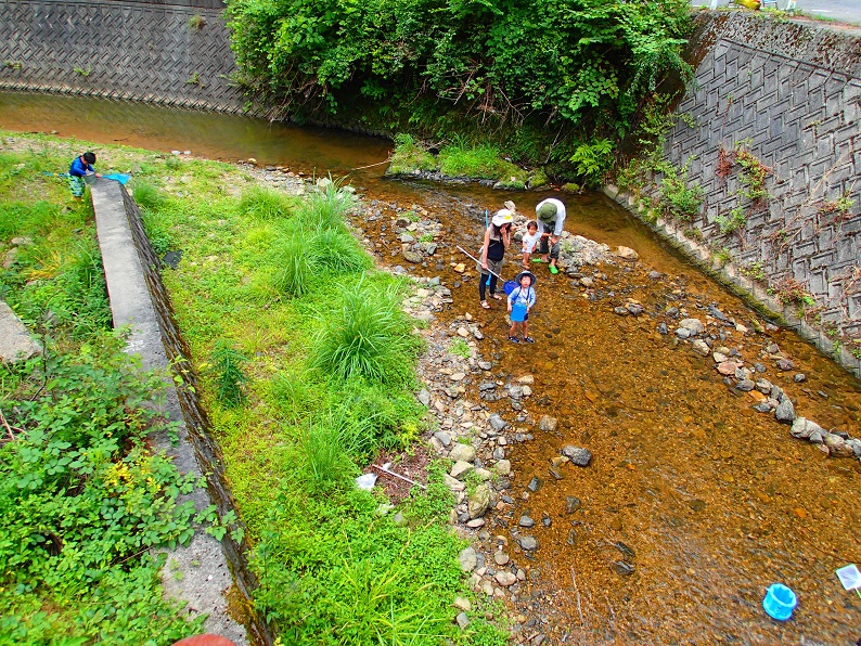 f:id:inakadss:20160725234054j:plain