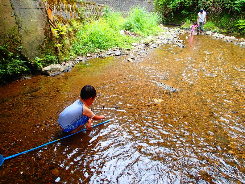 f:id:inakadss:20160725234102j:plain