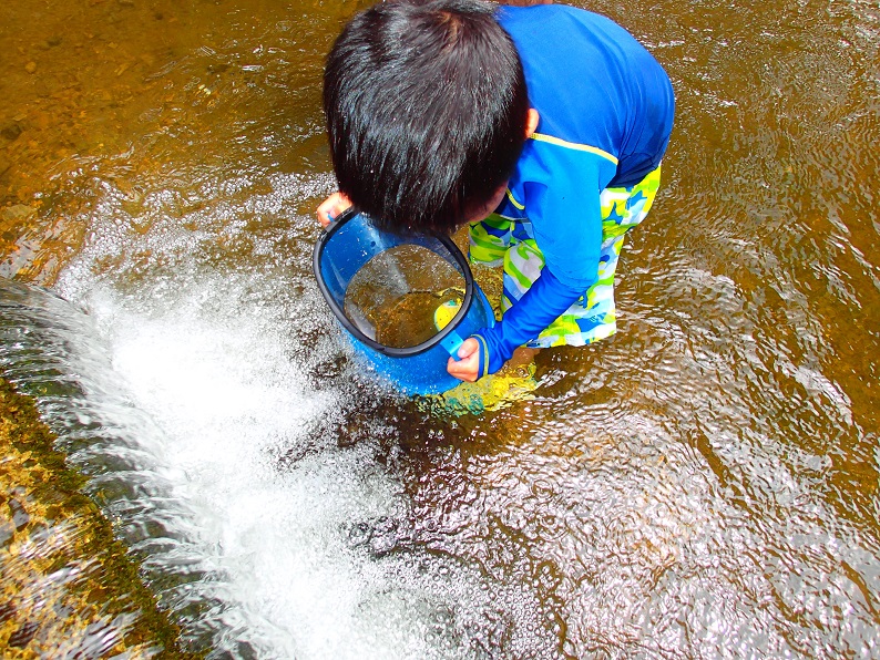 f:id:inakadss:20160725234130j:plain