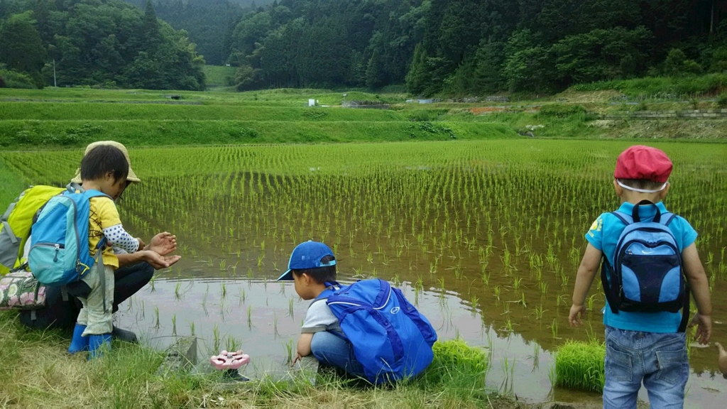 f:id:inakadss:20160804075755j:plain f:id:inakadss:20160804075755j:plain