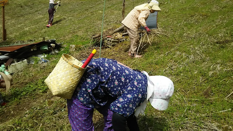 f:id:inakadss:20170509215912j:plain