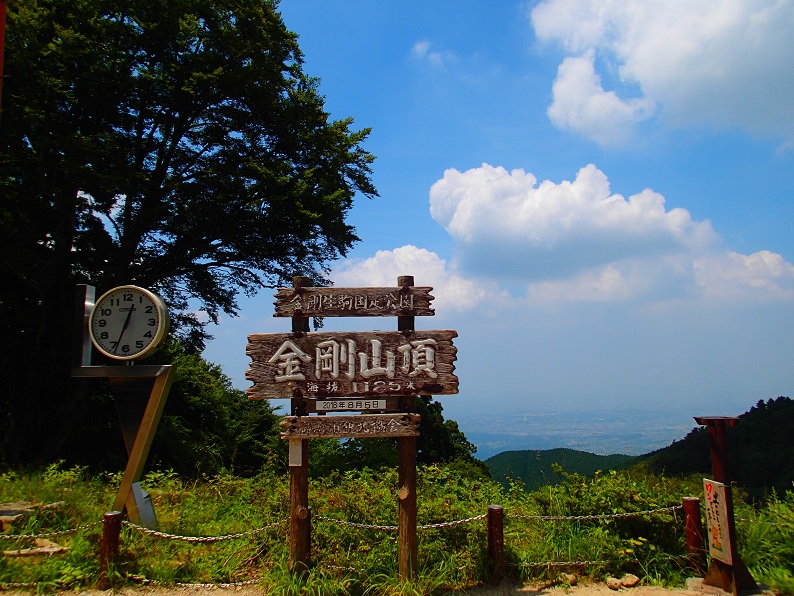 f:id:inakadss:20180806081314j:plain f:id:inakadss:20180806081314j:plain