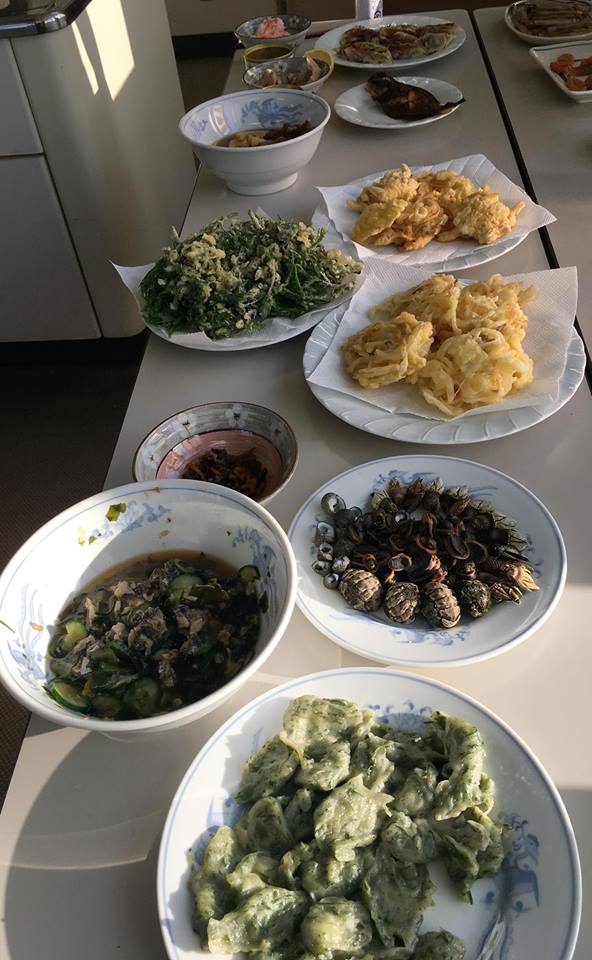 f:id:inakadss:20190312061111j:plain f:id:inakadss:20190312061111j:plain
