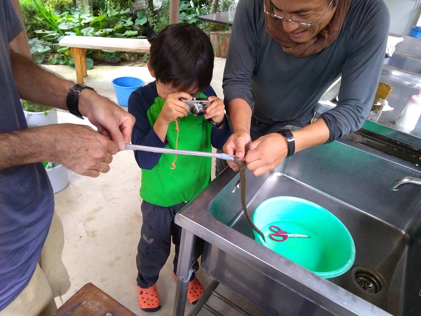 f:id:inakadss:20190721225655j:plain