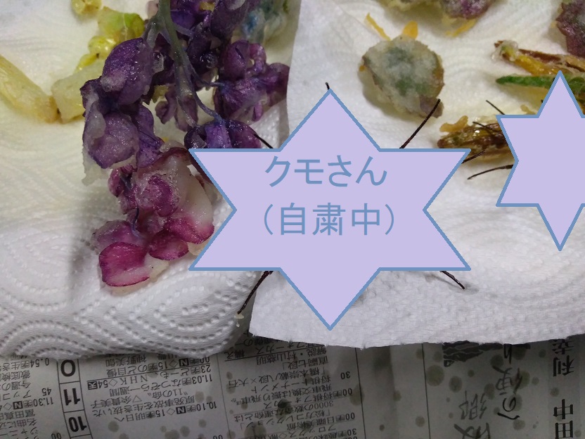 f:id:inakadss:20190721225935j:plain