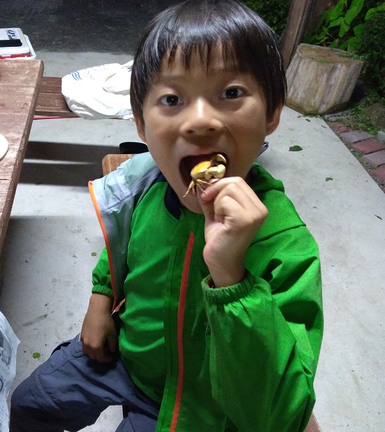 f:id:inakadss:20190721230007j:plain