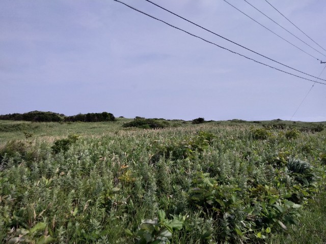 f:id:inakadss:20190826210542j:image