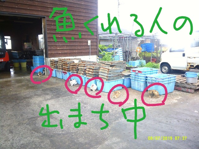 f:id:inakadss:20190829001719j:image