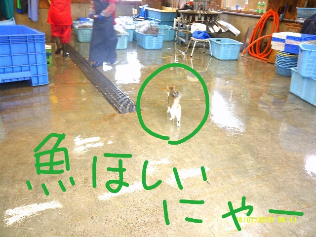 f:id:inakadss:20190829001742j:image