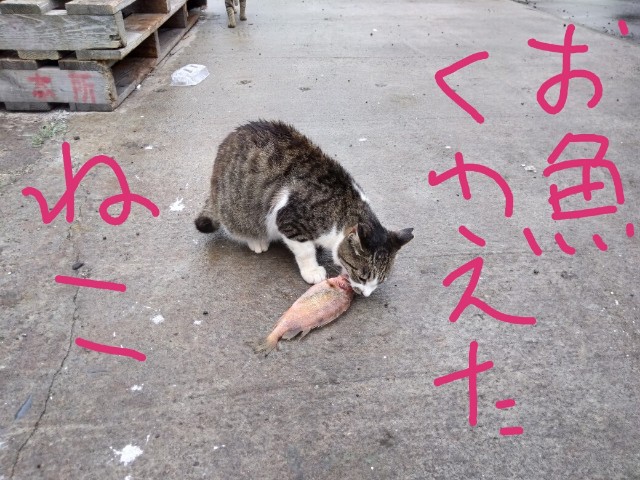 f:id:inakadss:20190829001805j:image